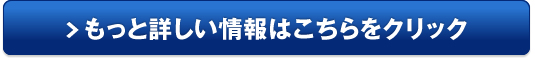 キャロル販売サイトへ